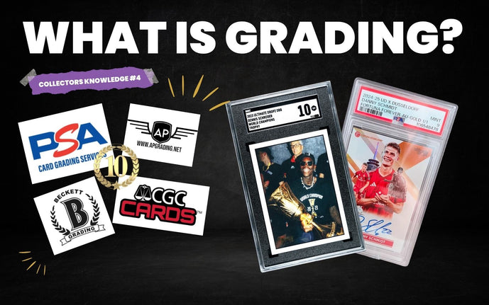 Was ist Grading und warum ist es wichtig? ultimatedropz Was ist Grading und warum ist es wichtig? ultimatedropz